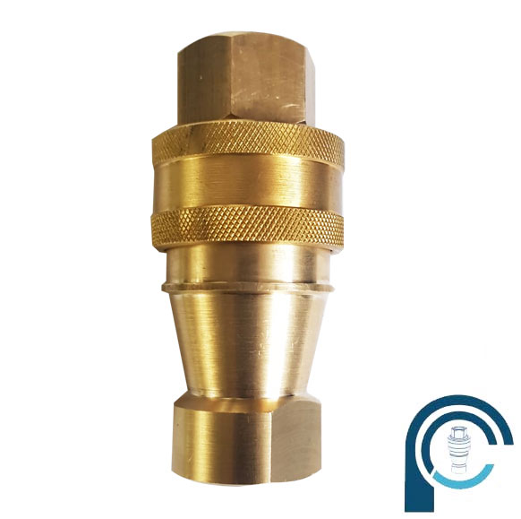 Brass Double Check Valve