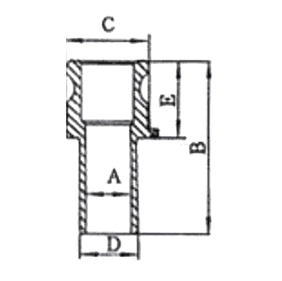 Stainless Steel Camlock Couplings Adapter Type E