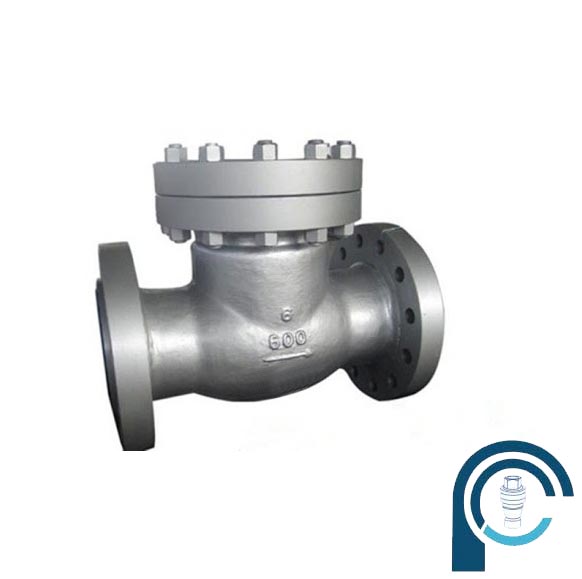 Duplex Double  Check Valve