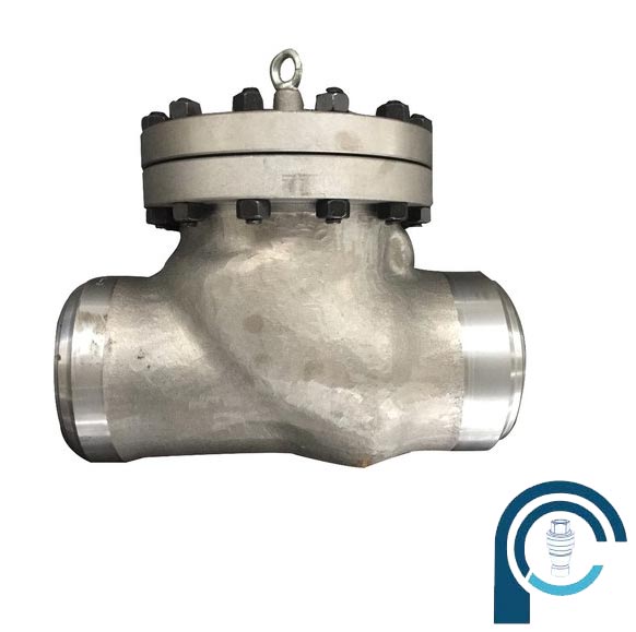 Duplex Single Check Valve