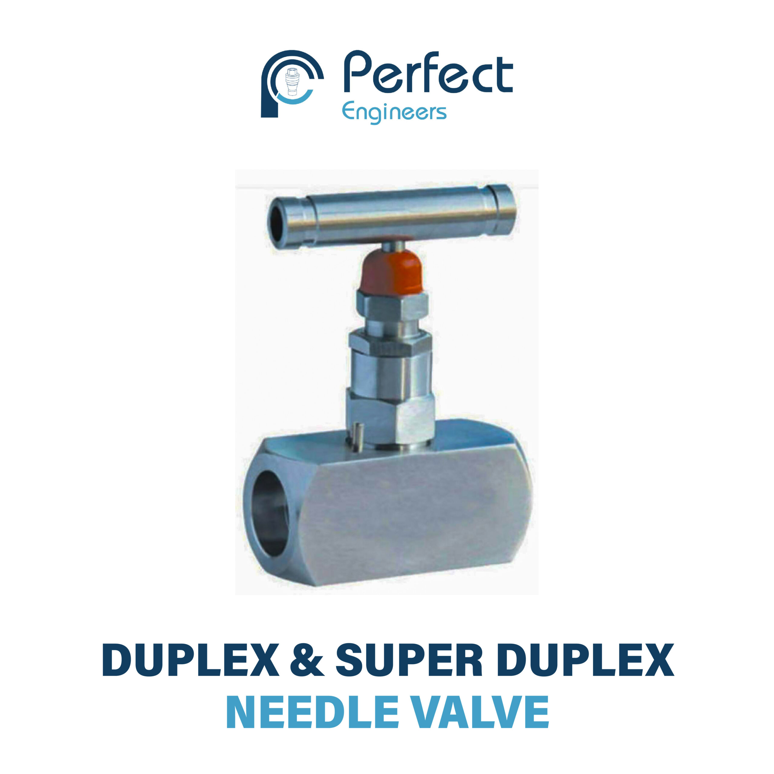 Duplex-Super-Duplex-Needle-Valve-scaled.jpg